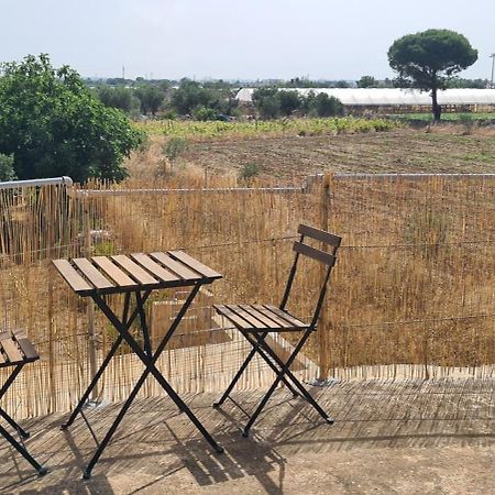 Trullo Dimora Di Pietra Gallipoli Baia Di Gallipoli Exteriör bild